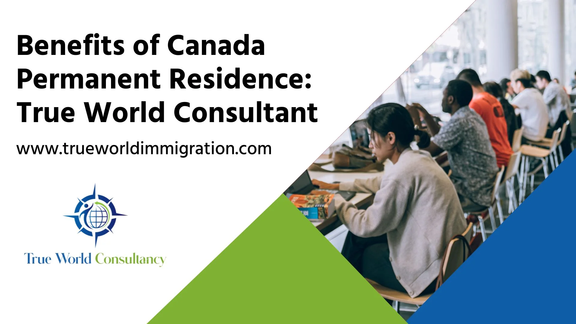 True World Consultant